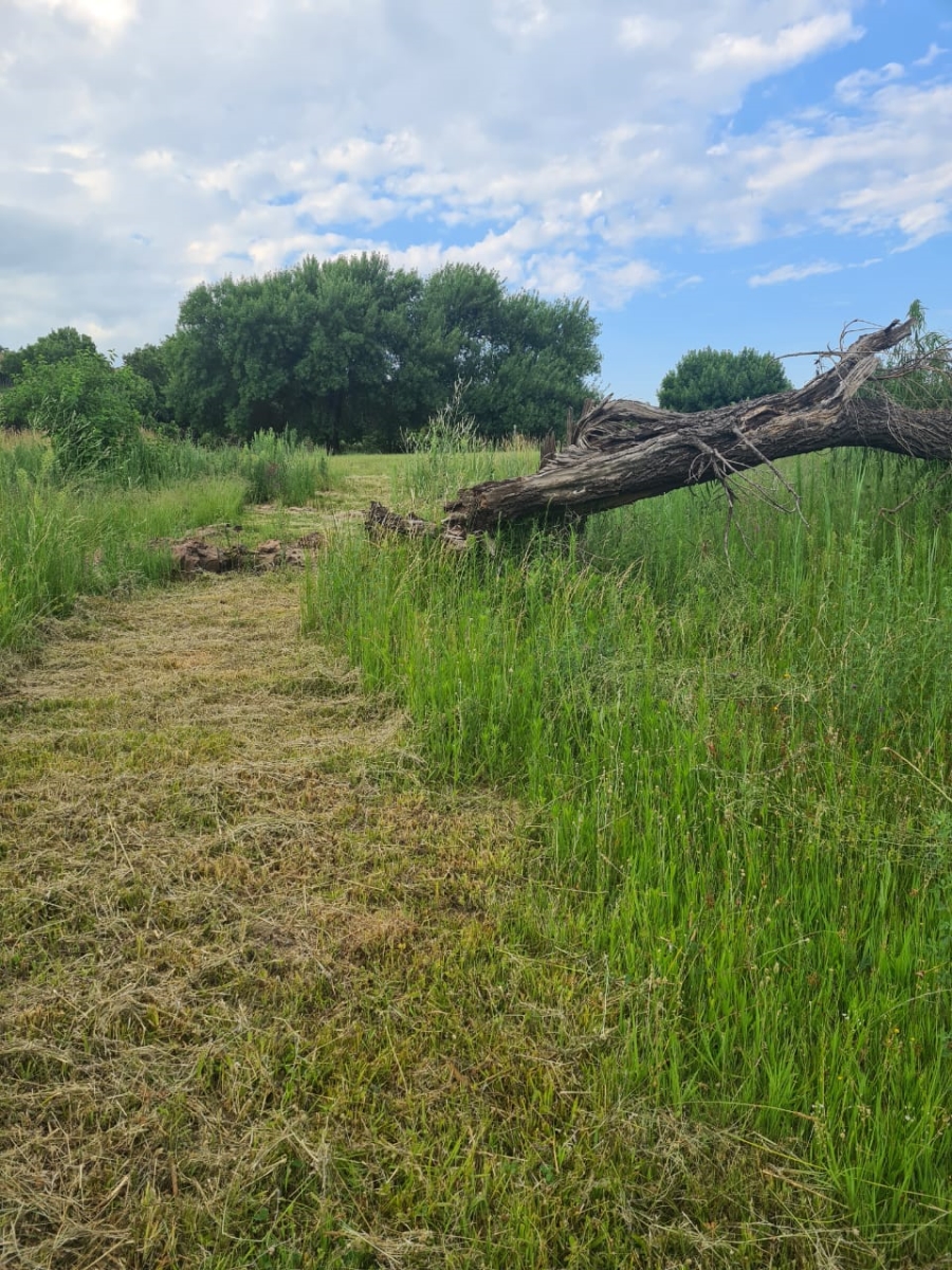 4 Bedroom Property for Sale in Deneysville Free State